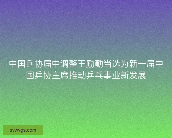 中国乒协届中调整王励勤当选为新一届中国乒协主席推动乒乓事业新发展